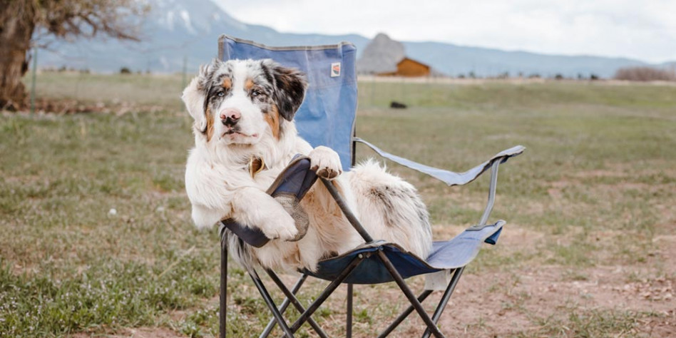 Top 10 der hochalpinen Campingplätze 1 Die Top 10 der hochalpinen Campingplätze