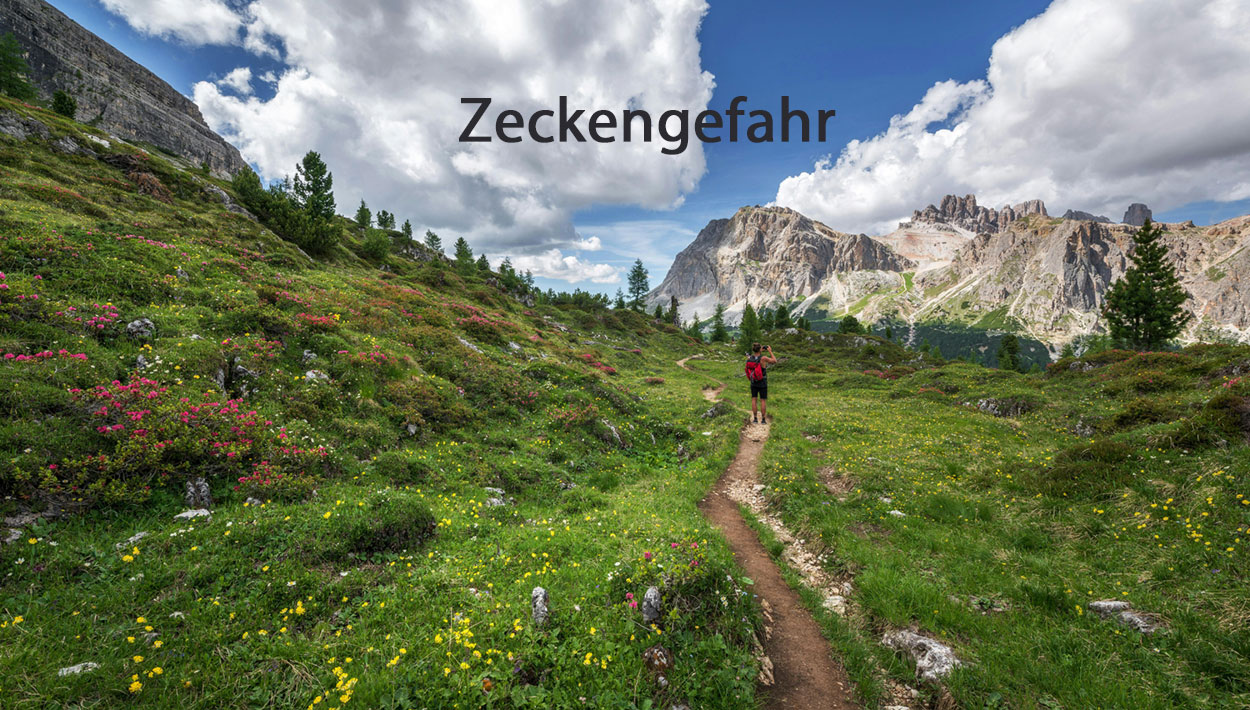 Trotz Zeckengefahr sicher in die Alpen 1 a person standing on a path in a grassy area with mountains in the background