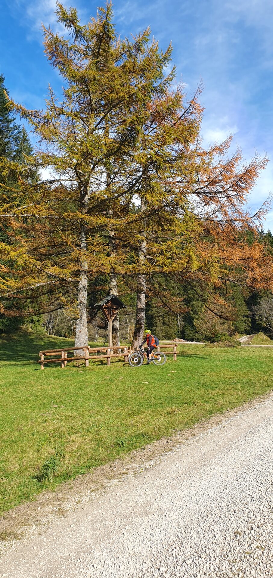 Schlosspark hoch 4 6 Schlosspark hoch 4 20241025 150740 Schlosspark