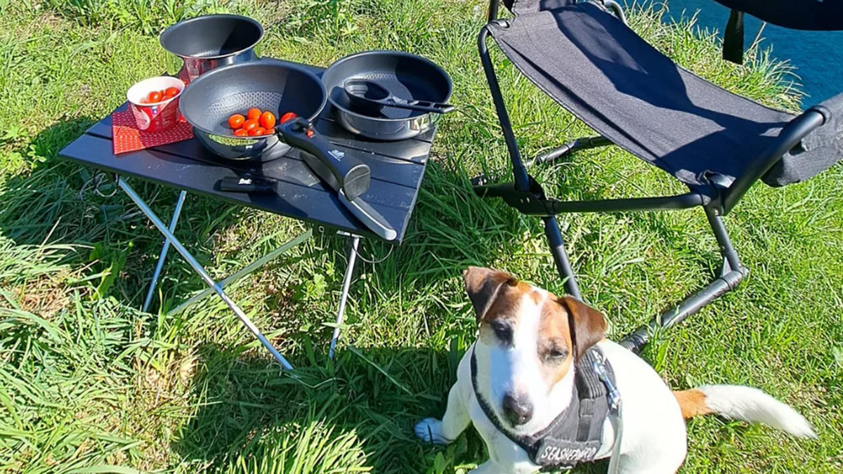 8 Koch-Tools für unterwegs – unsere Favoriten 3 Ein Hund steht draußen vor einem Campingtisch mit verschiedenen Koch-Tools
