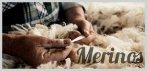 Merino für den Freizeitsport 3 Merino