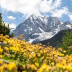 Sommerfrische in Südtirol