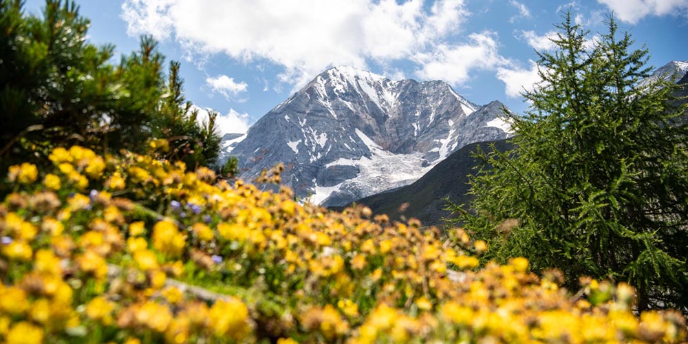 Sommerfrische in Südtirol 6 Sommerfrische in Südtirol