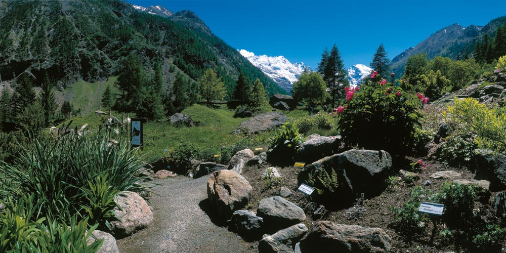 Italiens größter Nationalpark wird 100 2 Italiens größter Nationalpark