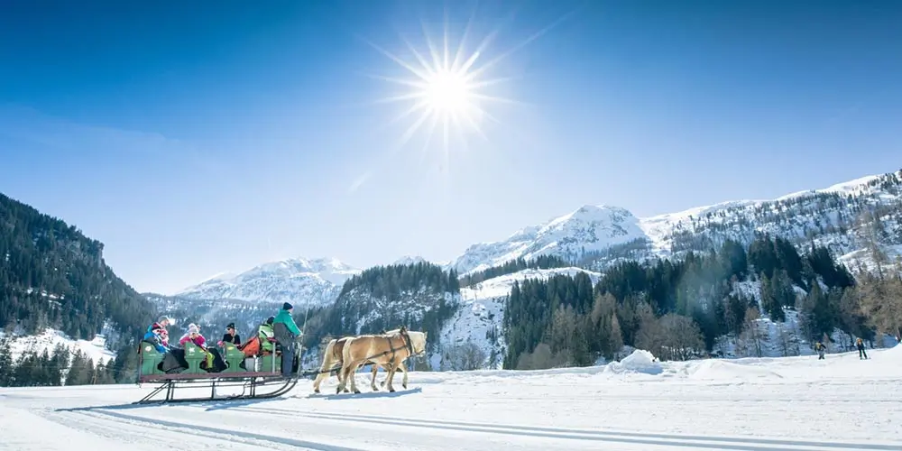 Mit dem Airboard über die Piste 5 Pferdeschlitten