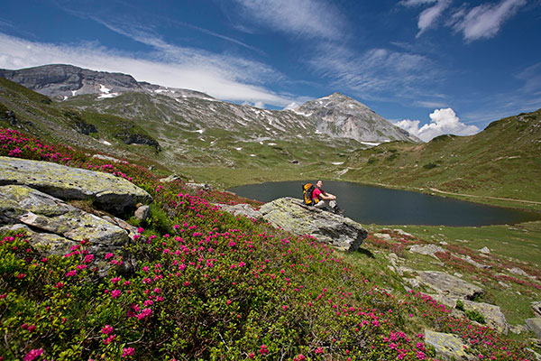 Hoch über den Alpen 1 Giglachsee