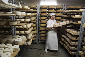 Neuer Alpkäse-Trail in der Zentralschweiz 300 1646 big engel so 146