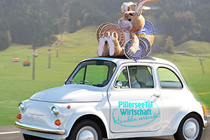 Individuelle Strategien für den Alpen-Tourismus 300 PillerseeTaler