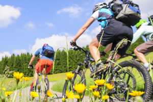 Zwei Radfahrer fahren durch blühende Landschaft