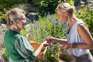 Zeit für Slow Travel 300 kraeuterdorf