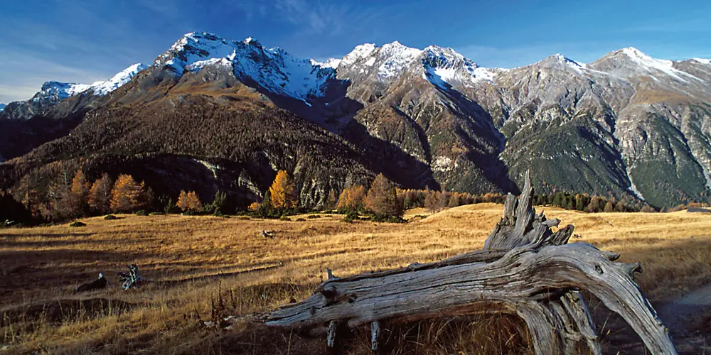 Nationalpark Swizzer – ein Gründungspionier 2 Nationalpark Swizzer Impressum Startseite Alpenportal Alpenjournal