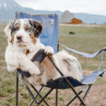 Die Top 10 der hochalpinen Campingplätze