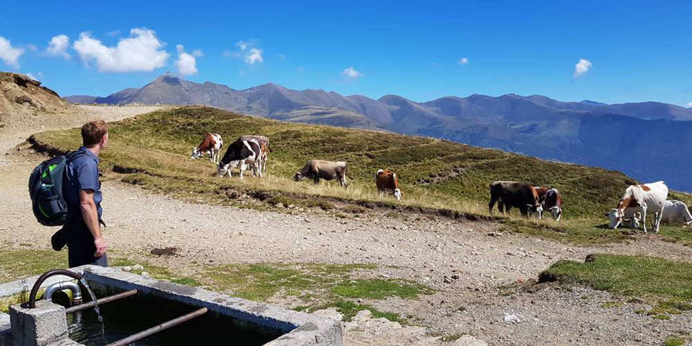 Lugano-Hütten-Trekking