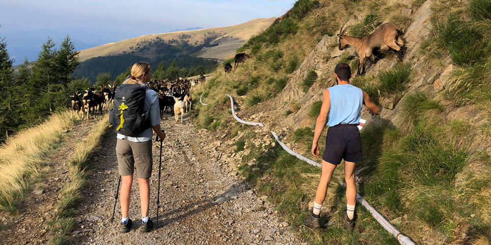 Lugano-Hütten-Trekking