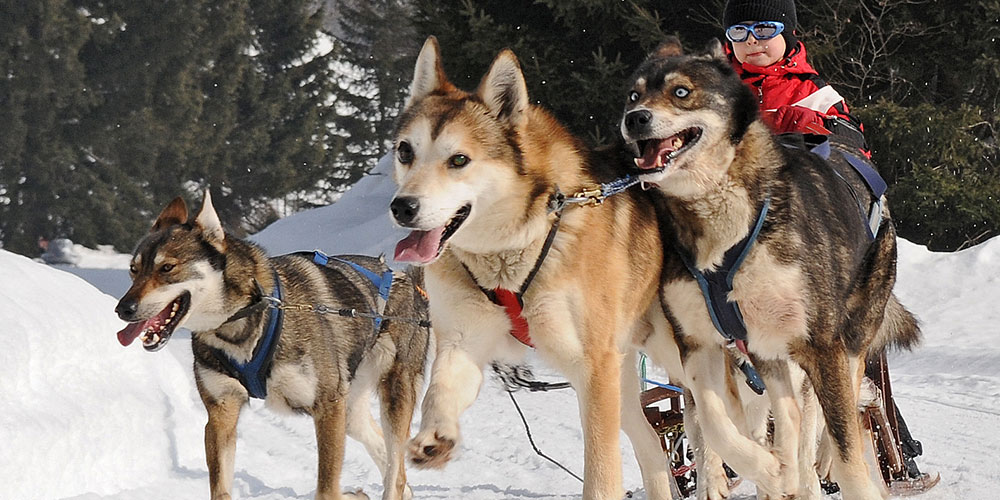 6 ungewöhnliche Wintersportarten in den Alpen 7 6 ungewöhnliche Wintersportarten
