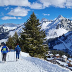 Wandern im Bregenzerwald