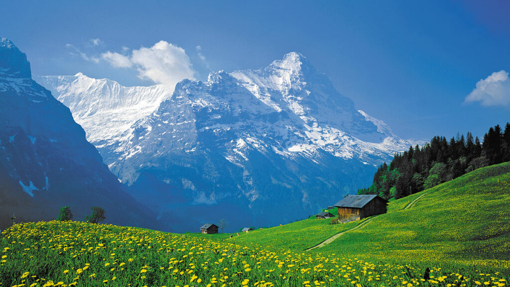 Genusswanderung im Berner Oberland 5 Genusswanderung im Berner Oberland