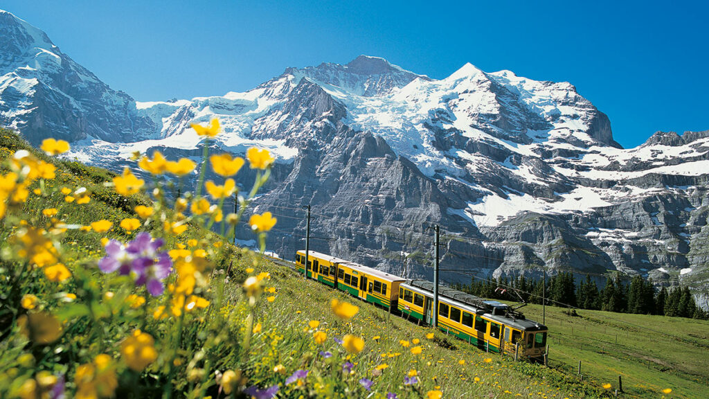 Genusswanderung im Berner Oberland 6 Genusswanderung im Berner Oberland