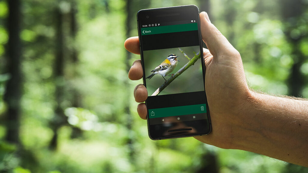 Osterferien daheim: 10 Tipps für erlebnisreiche Tage 2 Osterferien daheim