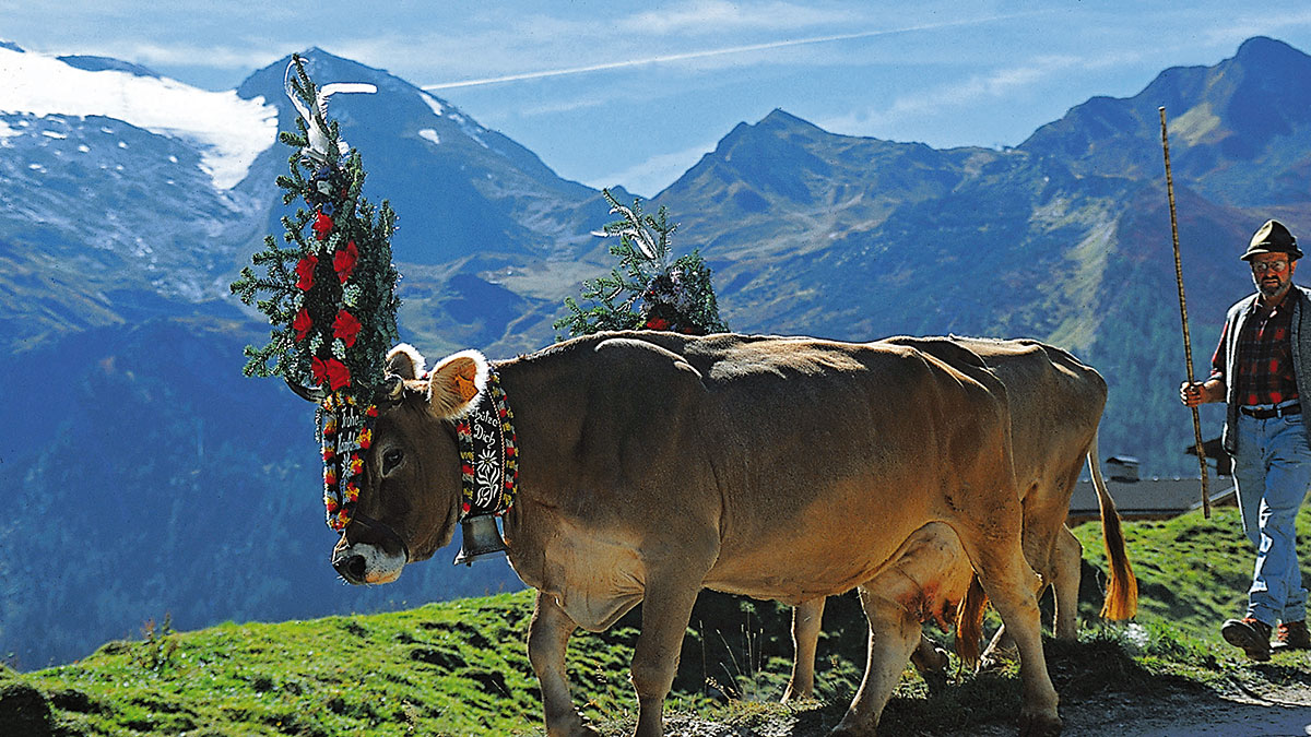 Urlaub in Österreich