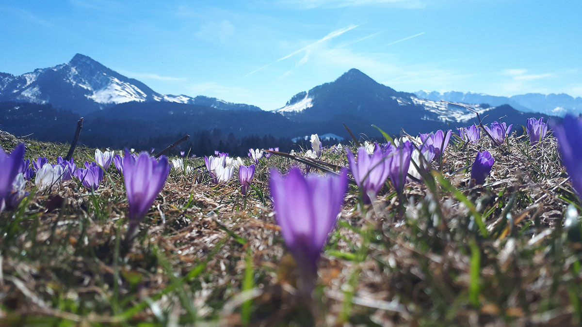 Aktiv im Chiemsee-Alpenland 2 Chiemsee-Alpenland