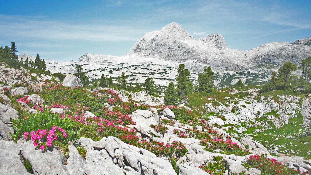 Die deutschen Alpen 2 in den deutschen Alpen