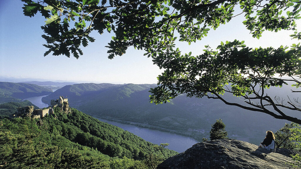 Die österreichischen Alpen
