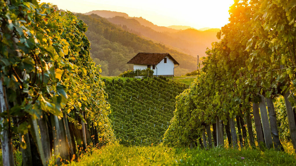 Vinska Fontana Kapela: ein Brunnen für Weinliebhaber 2 Vinska Fontana Kapela