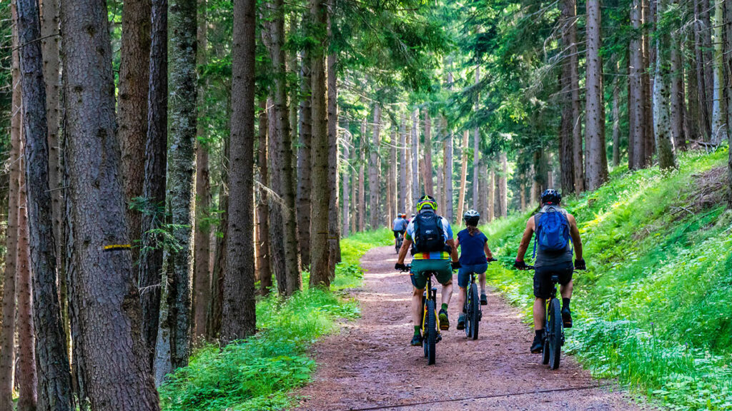 Mountainbiken mit Kind – Tipps für eine gelungene Tour 4 Mountainbiken mit Kind