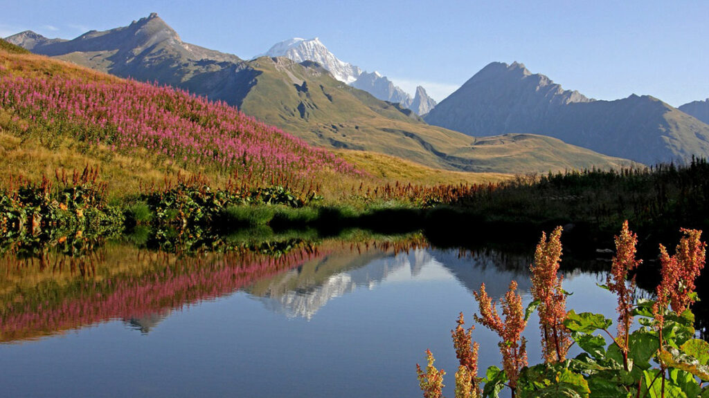 Unvergessliche Urlaubsmomente in Rhône-Alpes 4 Rhône-Alpes