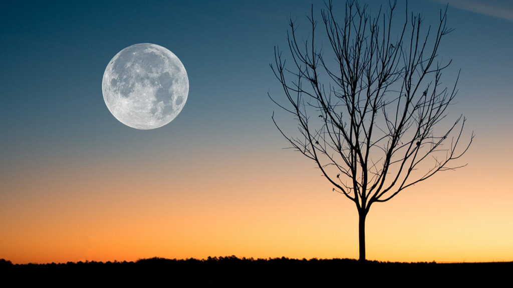 Mysthische Vollmondwanderung in den Schweizer Alpen 2 Vollmondwanderung