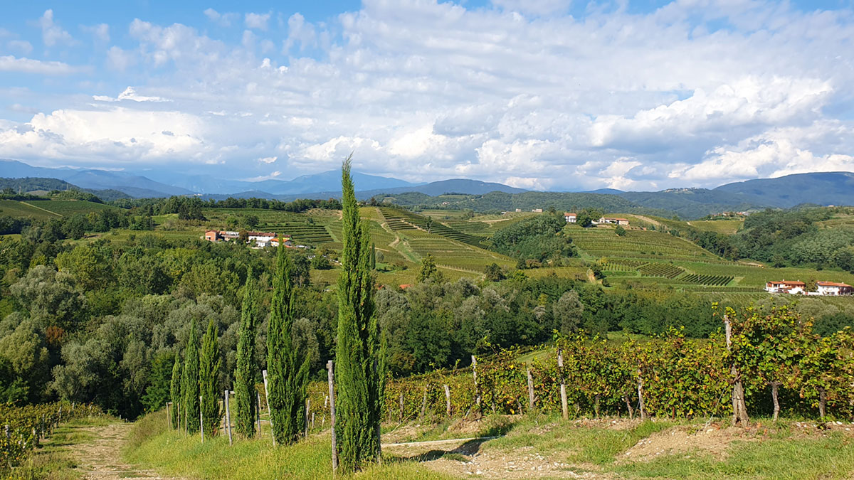 Neues Radlerparadies: Udine und Umland 5 a landscape with trees and hills between Italy and Slovenia
