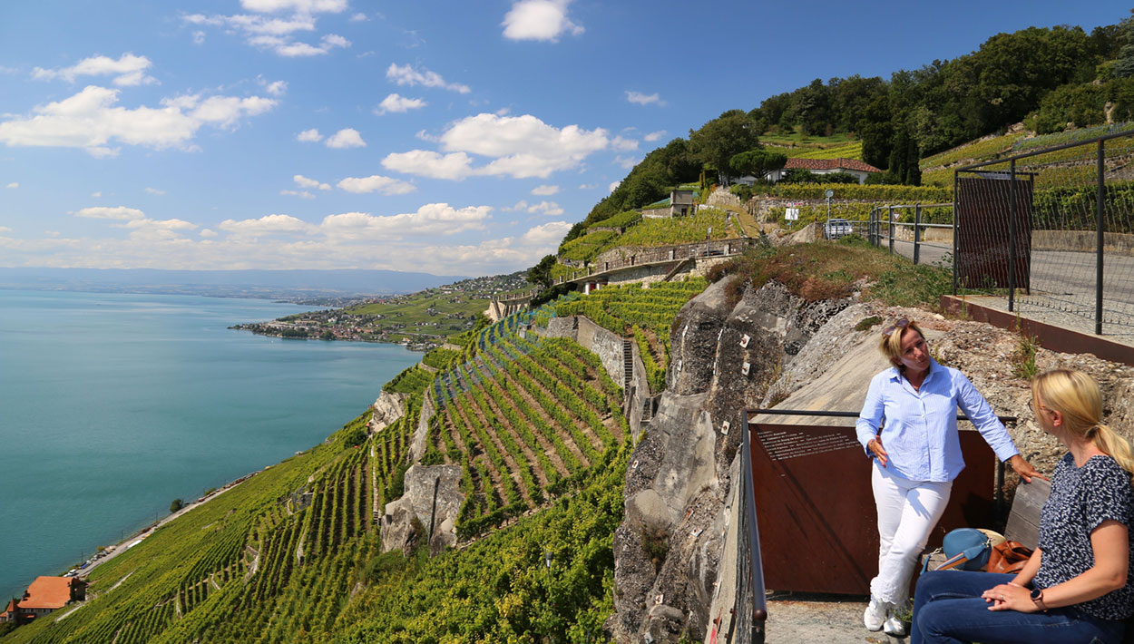 Sonnige Schweizer Riviera: Magnet für Stars 5 Blick auf die UNESCO-prämierten Terrassen von Lavaux