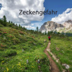 Trotz Zeckengefahr sicher in die Alpen 3 a person standing on a path in a grassy area with mountains in the background