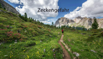 a person standing on a path in a grassy area with mountains in the background