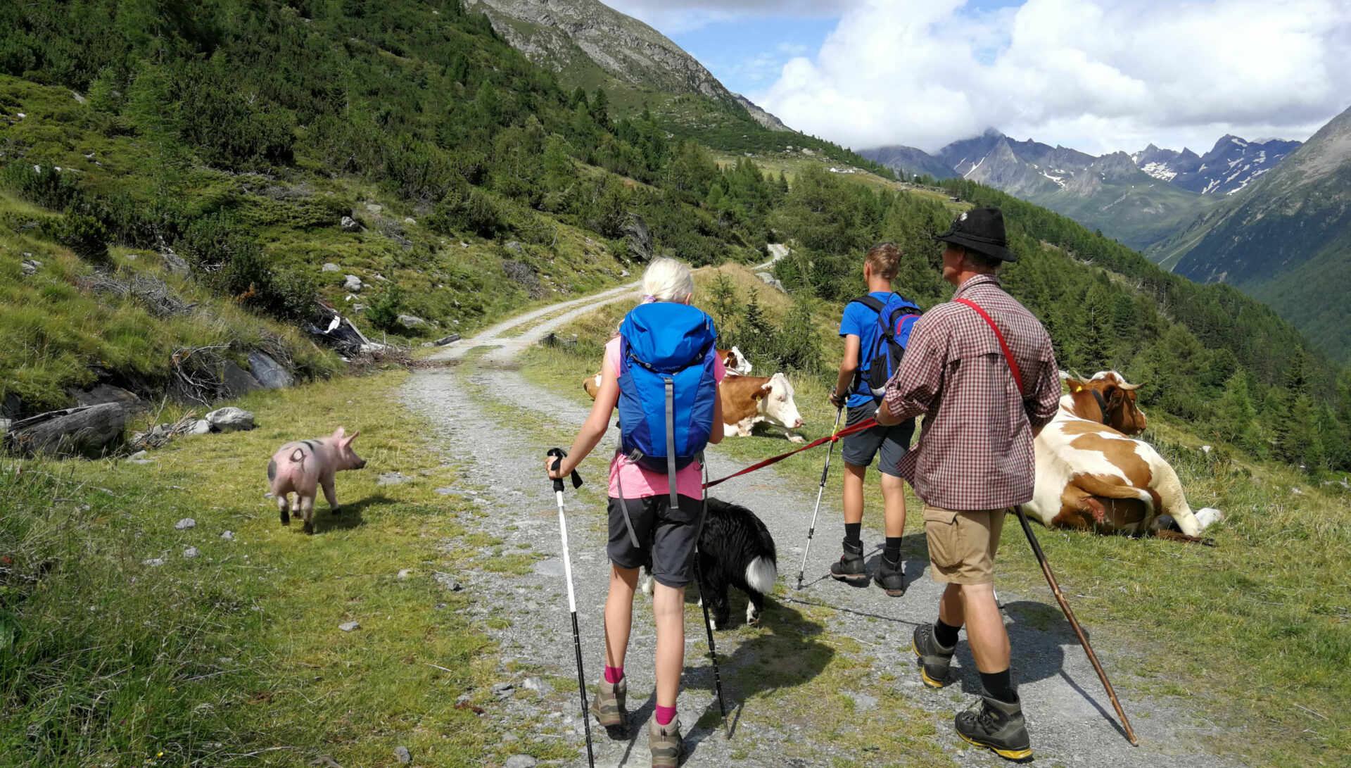 Wandern mit Hund in den Alpen 5 Bei freilaufenden Tieren am Wegesrand gehört der Hund zur Sicherheit an die Leine ©Nicole Müller