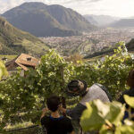 Bauernhofurlaub zwischen Weinreben und Hofleben 12 Es gibt viel zu entdecken bei einem Bauernhofurlaub auf dem Pfösslerhof ©Pfösslerhof