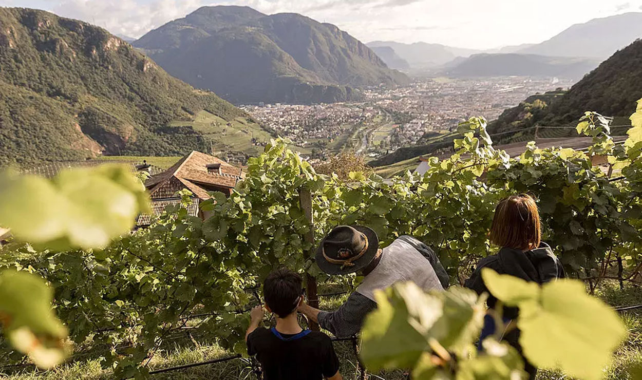 Bauernhofurlaub zwischen Weinreben und Hofleben 16 Es gibt viel zu entdecken bei einem Bauernhofurlaub auf dem Pfösslerhof ©Pfösslerhof