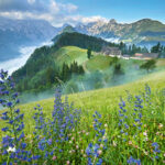 Top 10 Fotostopps in den Westalpen 5 Blick von der Solčava-Panoramastraße auf eine Alpenidylle in Slowenien.