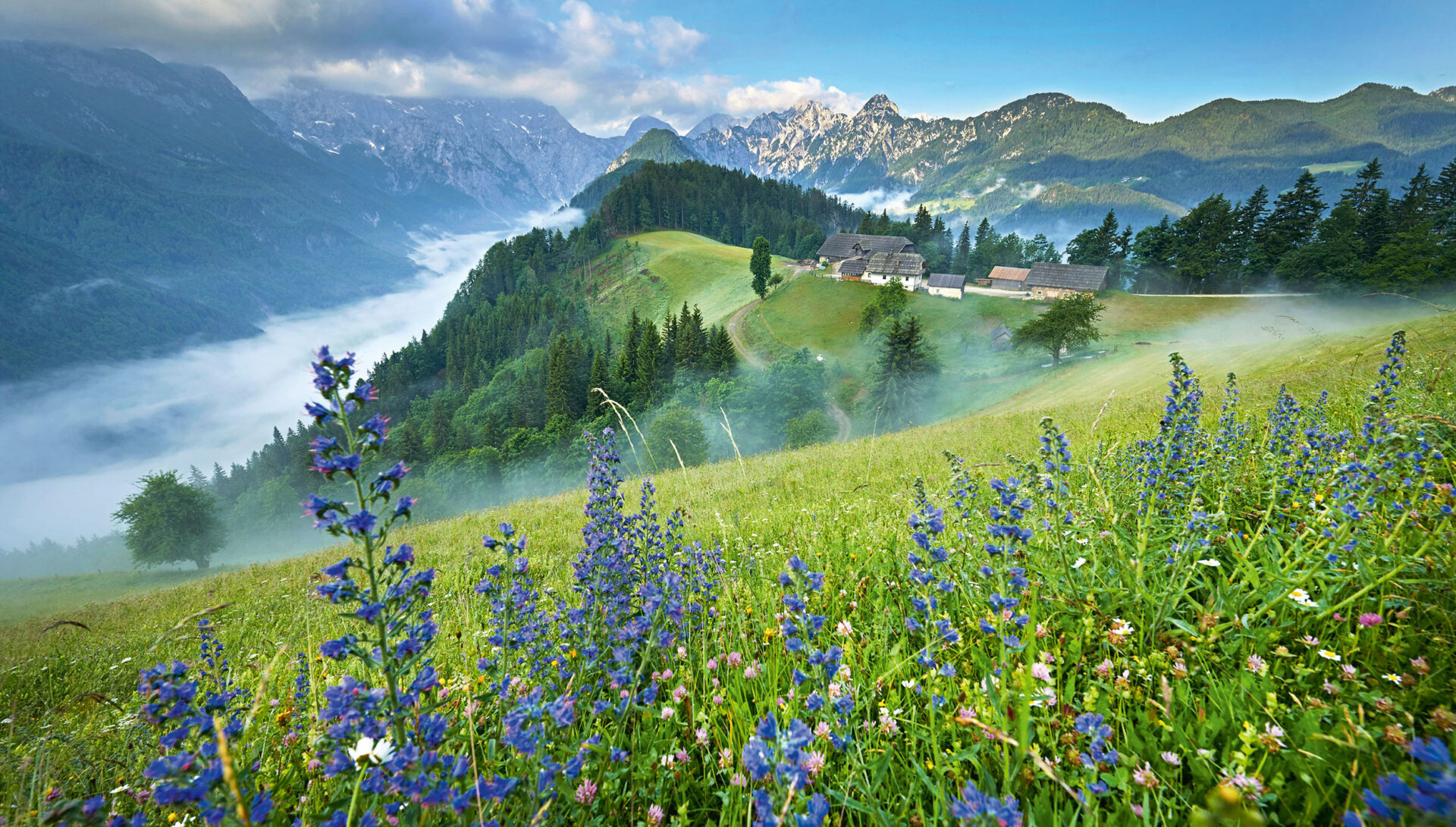Top 10 Fotostopps in den Westalpen 9 Blick von der Solčava-Panoramastraße auf eine Alpenidylle in Slowenien.