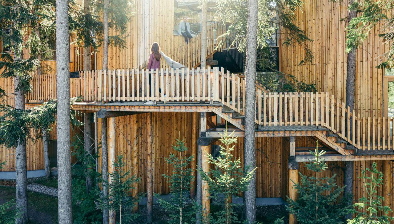 15 Erholungsorte, die Stil und Zeitgeist atmen 4 Ein junges Paar spaziert im Baumwipfelpfad des Hotels Waldklause